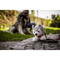 Pluszowy pies husky | Trooper odzież reklamowa z nadrukiem logo, haft sekundo.pl evesti.pl