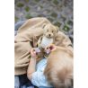 Pluszowy miś z kocem | Phil odzież reklamowa z nadrukiem logo, haft sekundo.pl evesti.pl